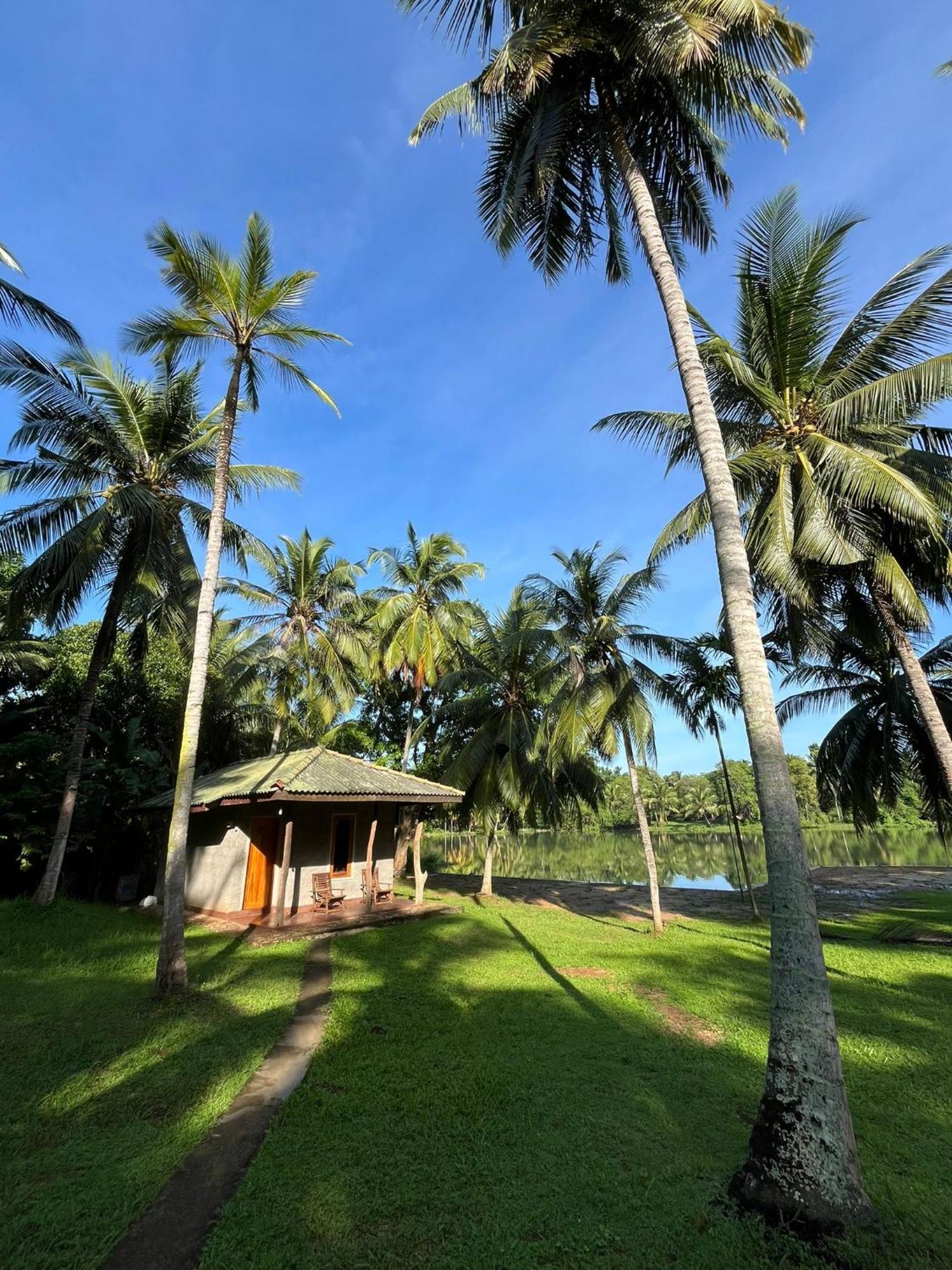 Yonan River Face Safari Resort Udawalawe Eksteriør bilde